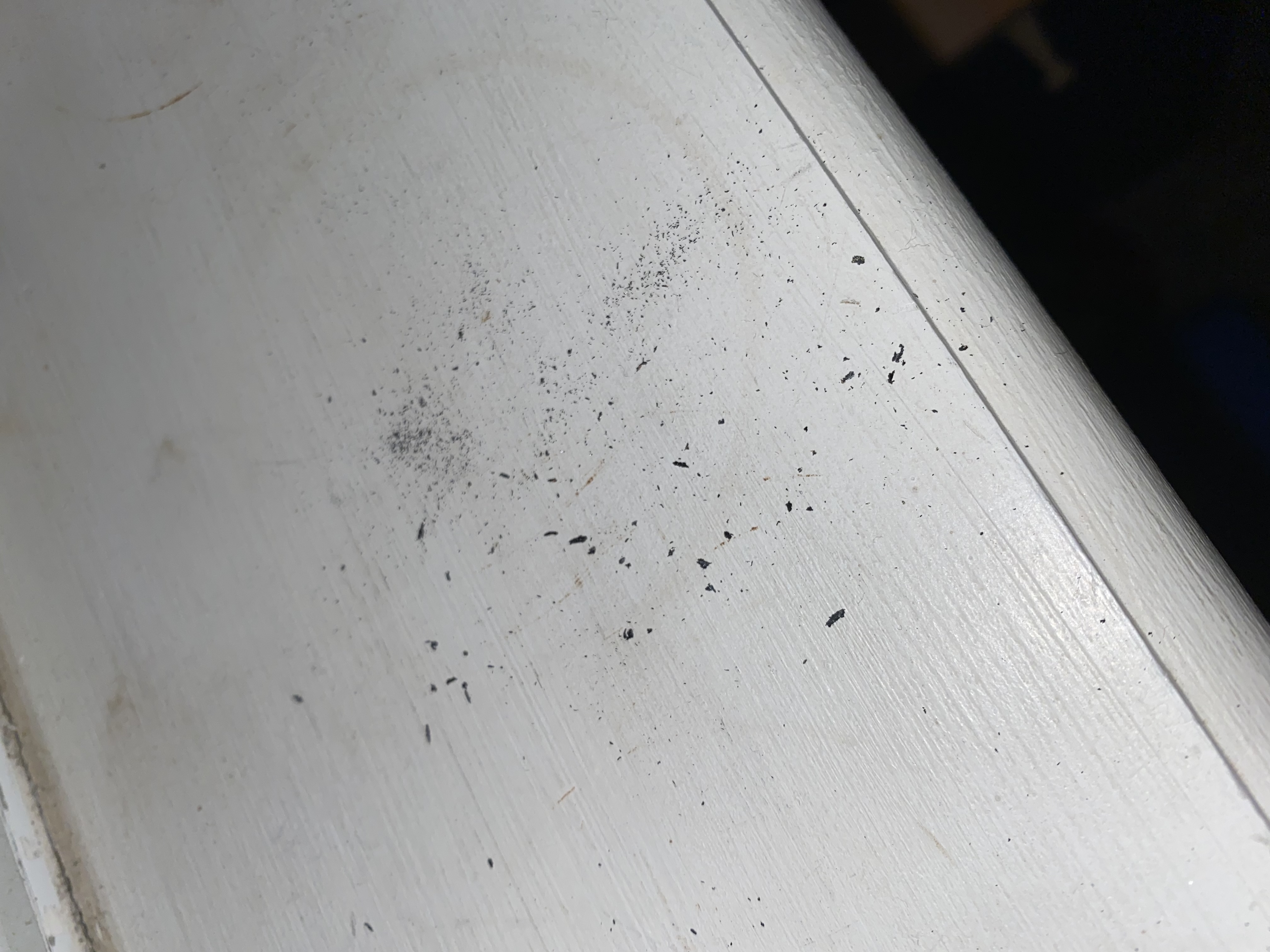 Image for Flakes on counter, floor, and window sill