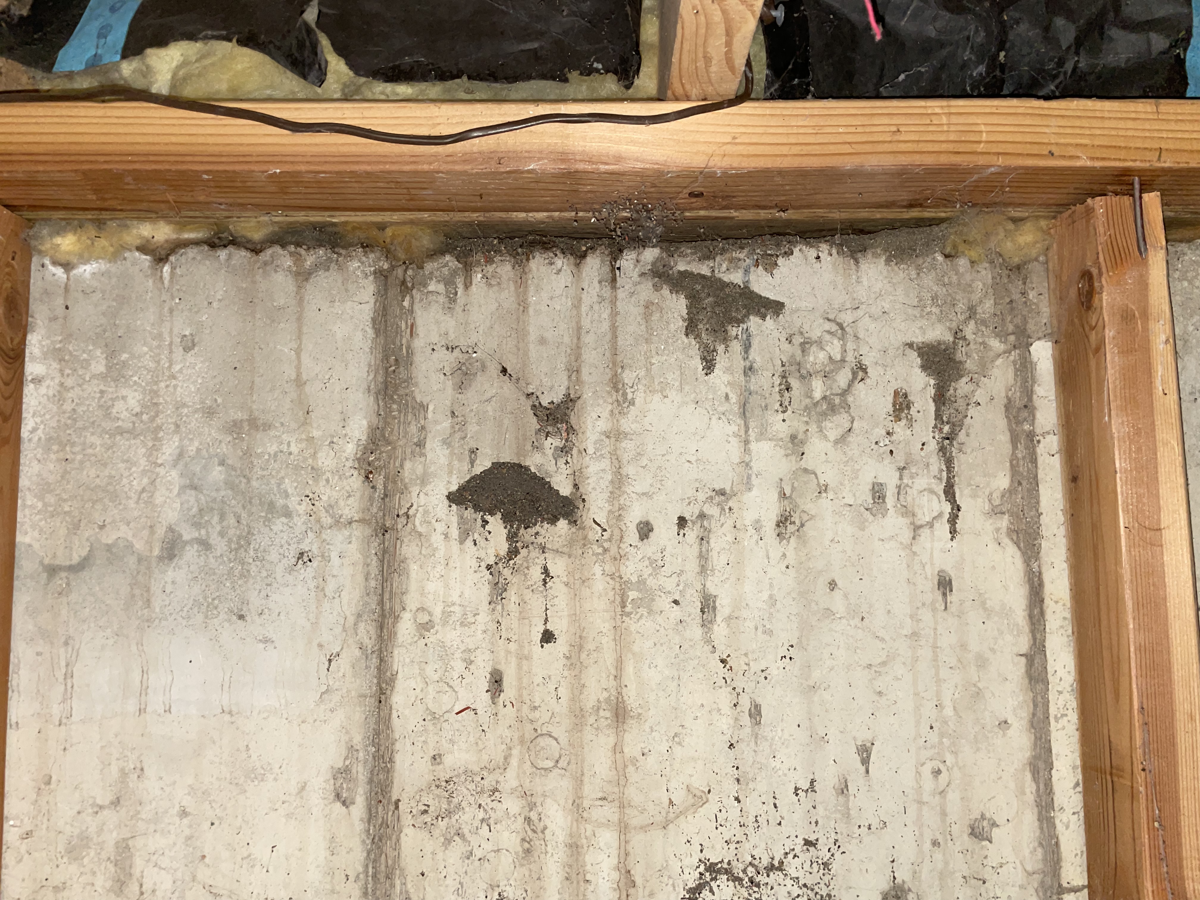 Image for Brown sand coming out basement wall