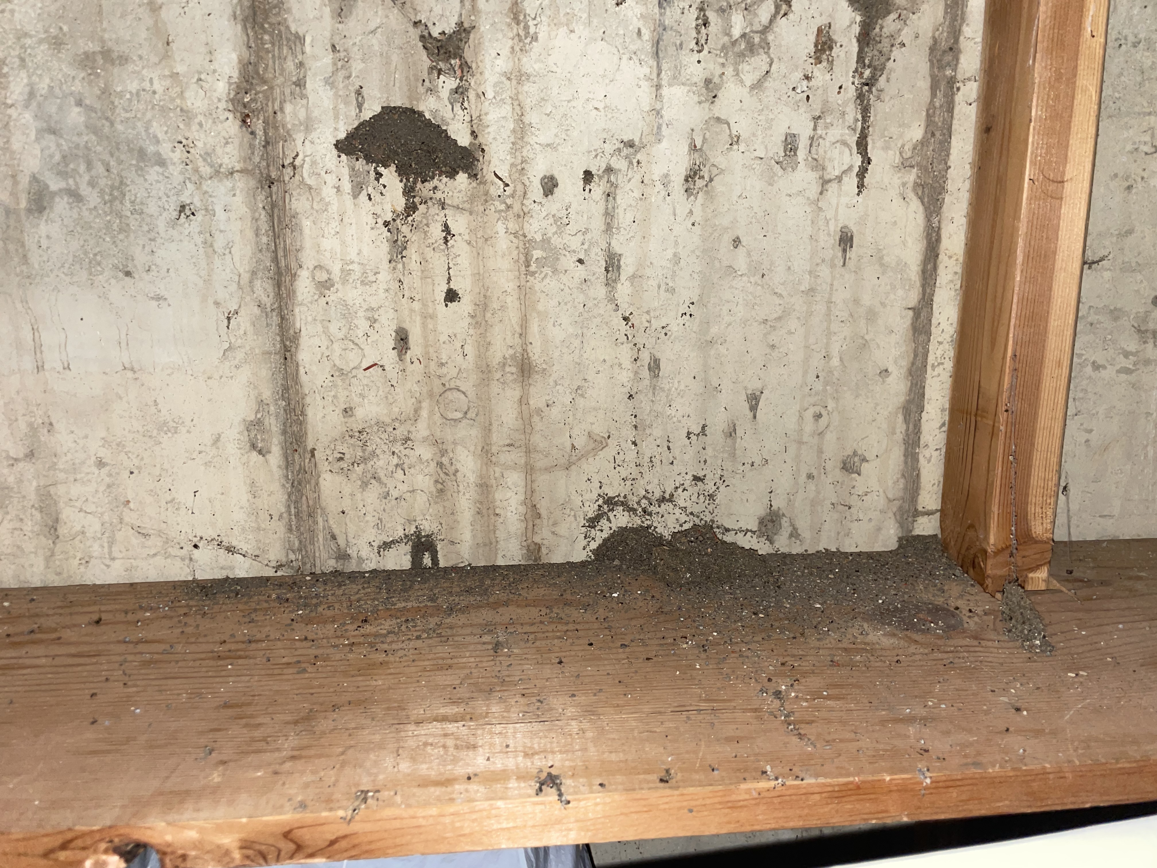 Image for Brown sand coming out basement wall