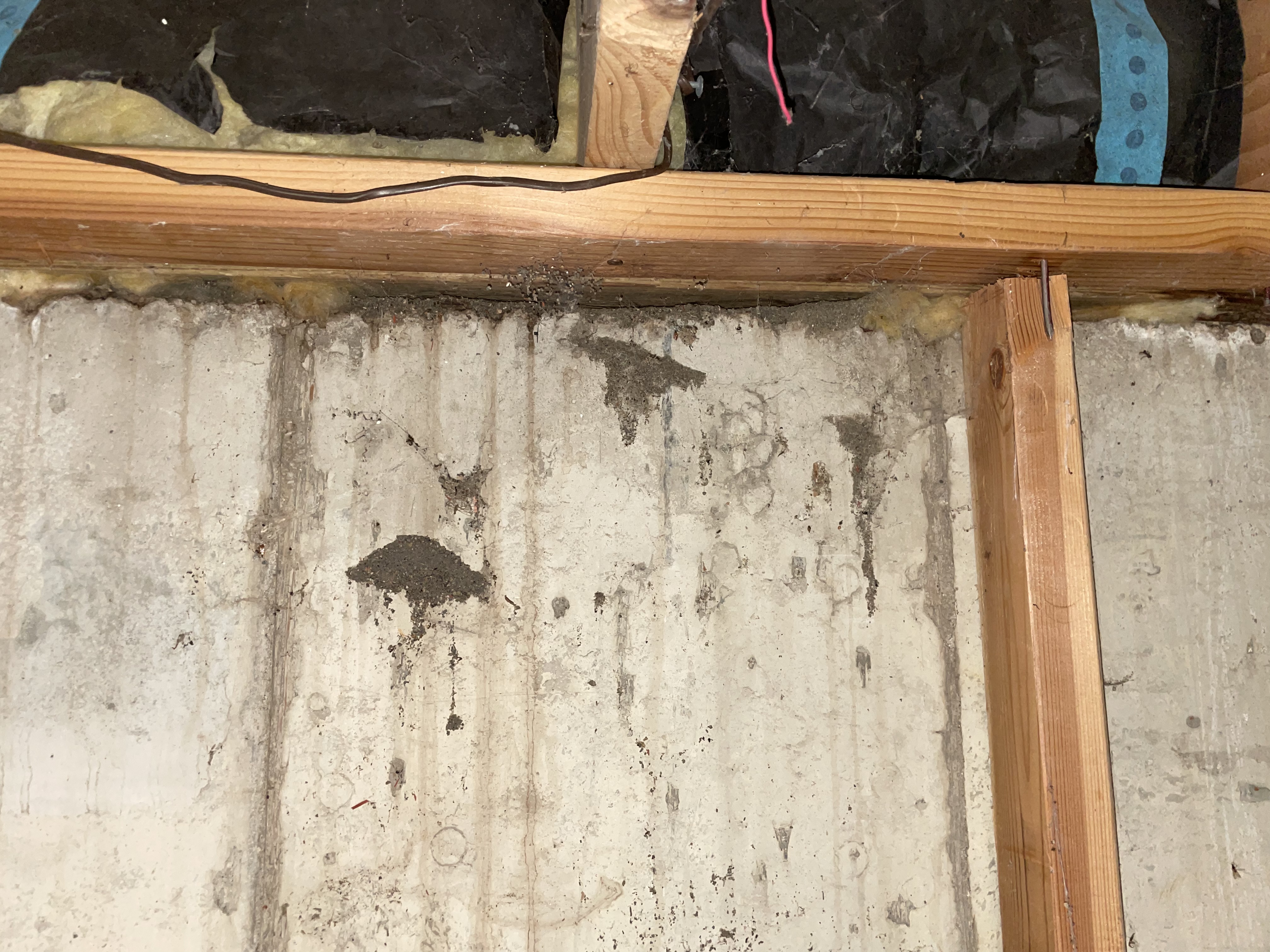 Image for Brown sand coming out basement wall