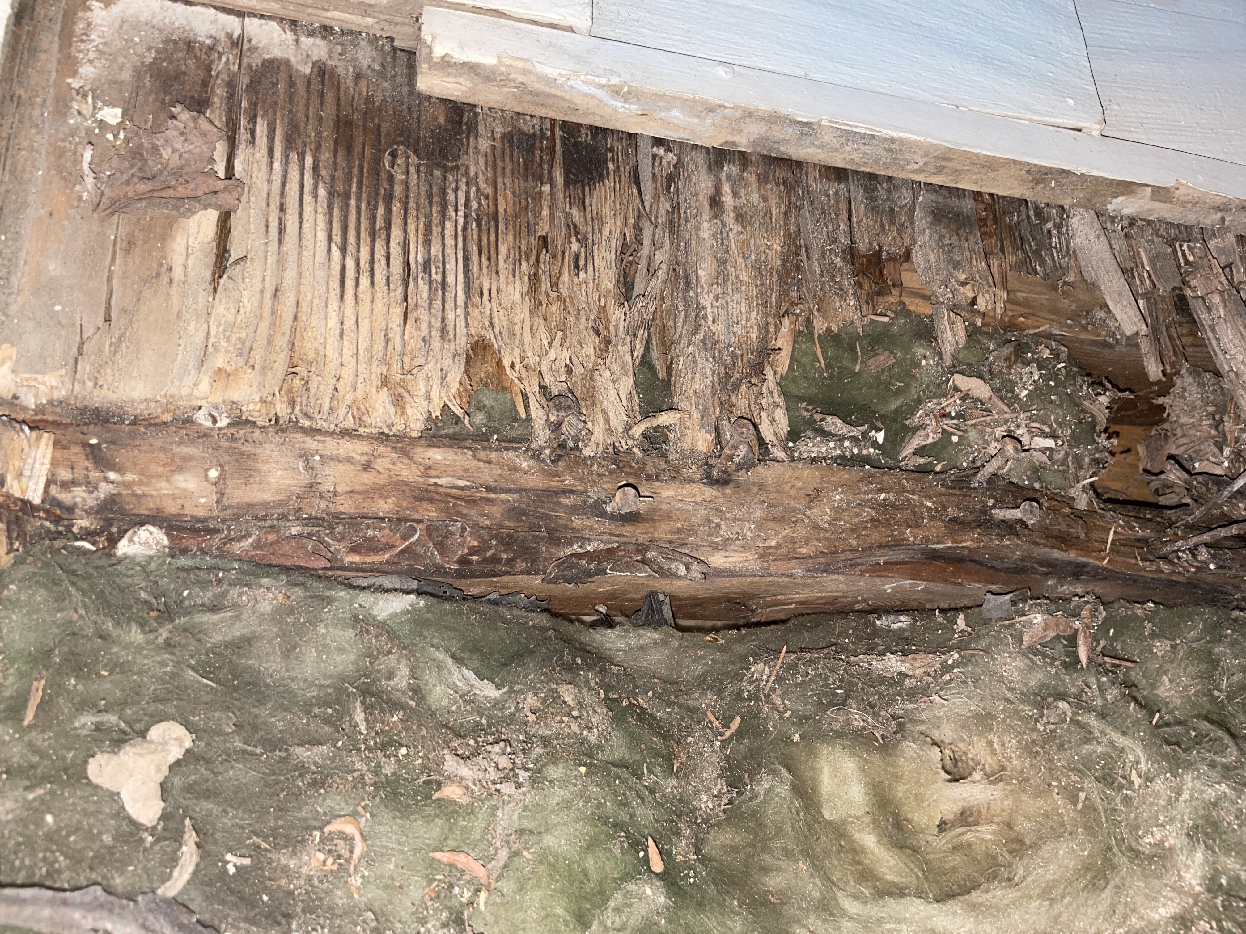 Image for Help identify exterior wall board