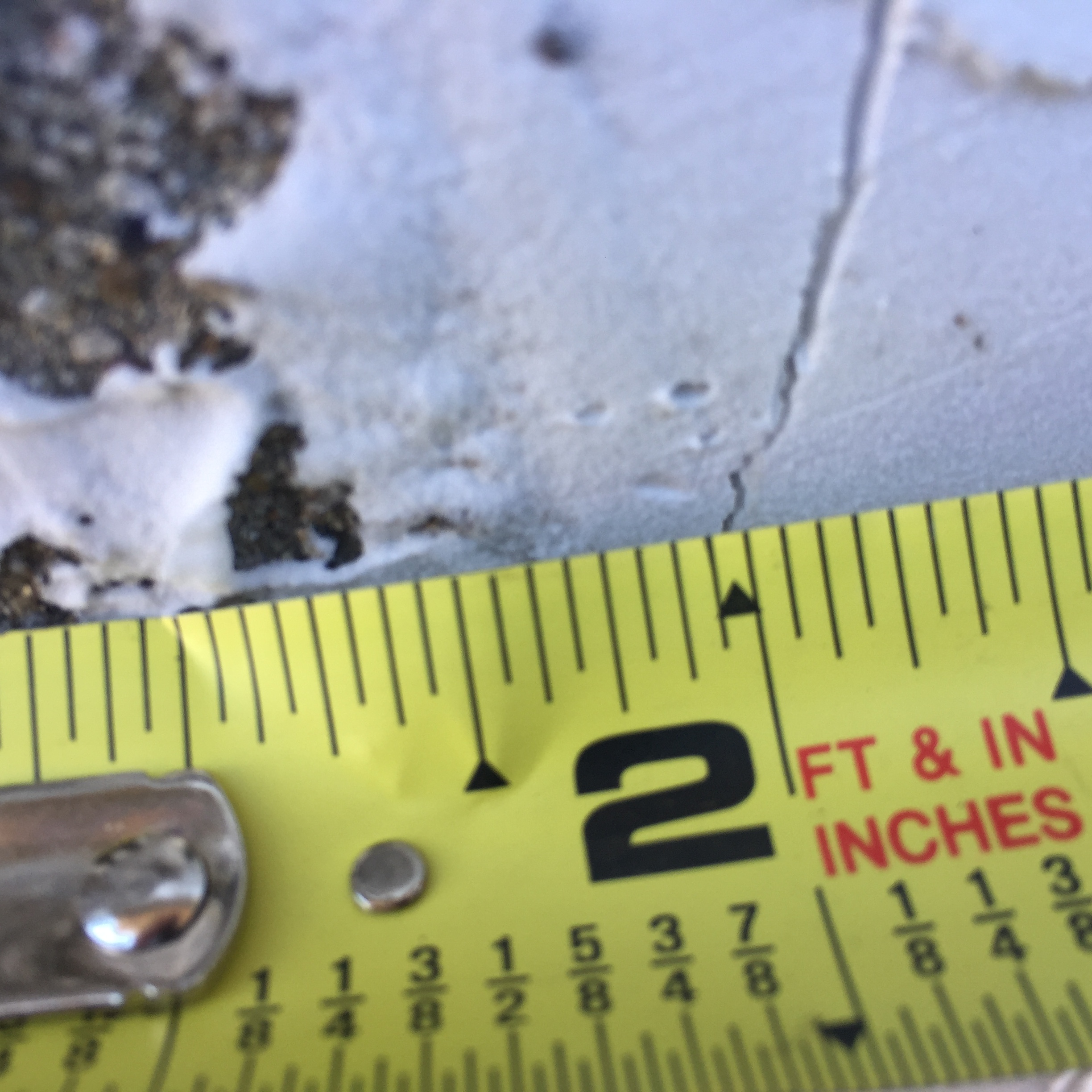 Image for Bought an old house with many cracks