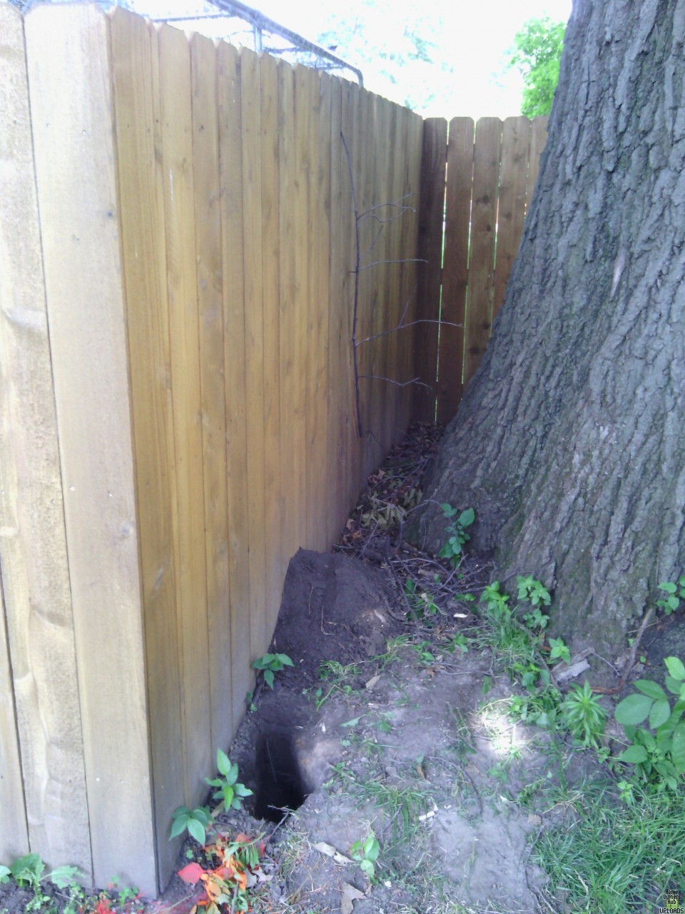 Image for What is too shallow for a 4ft Chain Link Fence?