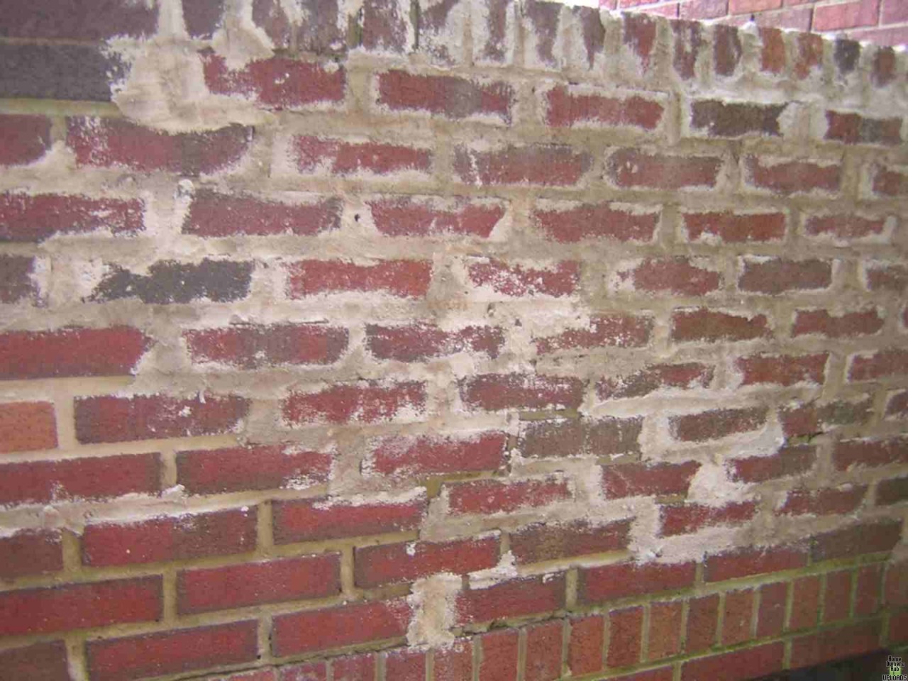Image for Brick repointing butcher job