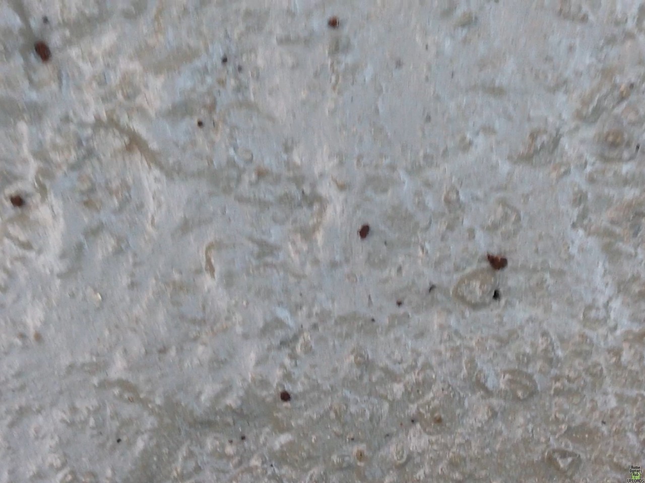 Image for Is this quality concrete work? Should I be concerned?