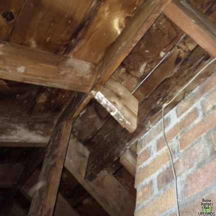 Image for White stain with powdery substance on wood joist