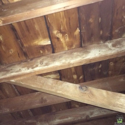 Image for White stain with powdery substance on wood joist