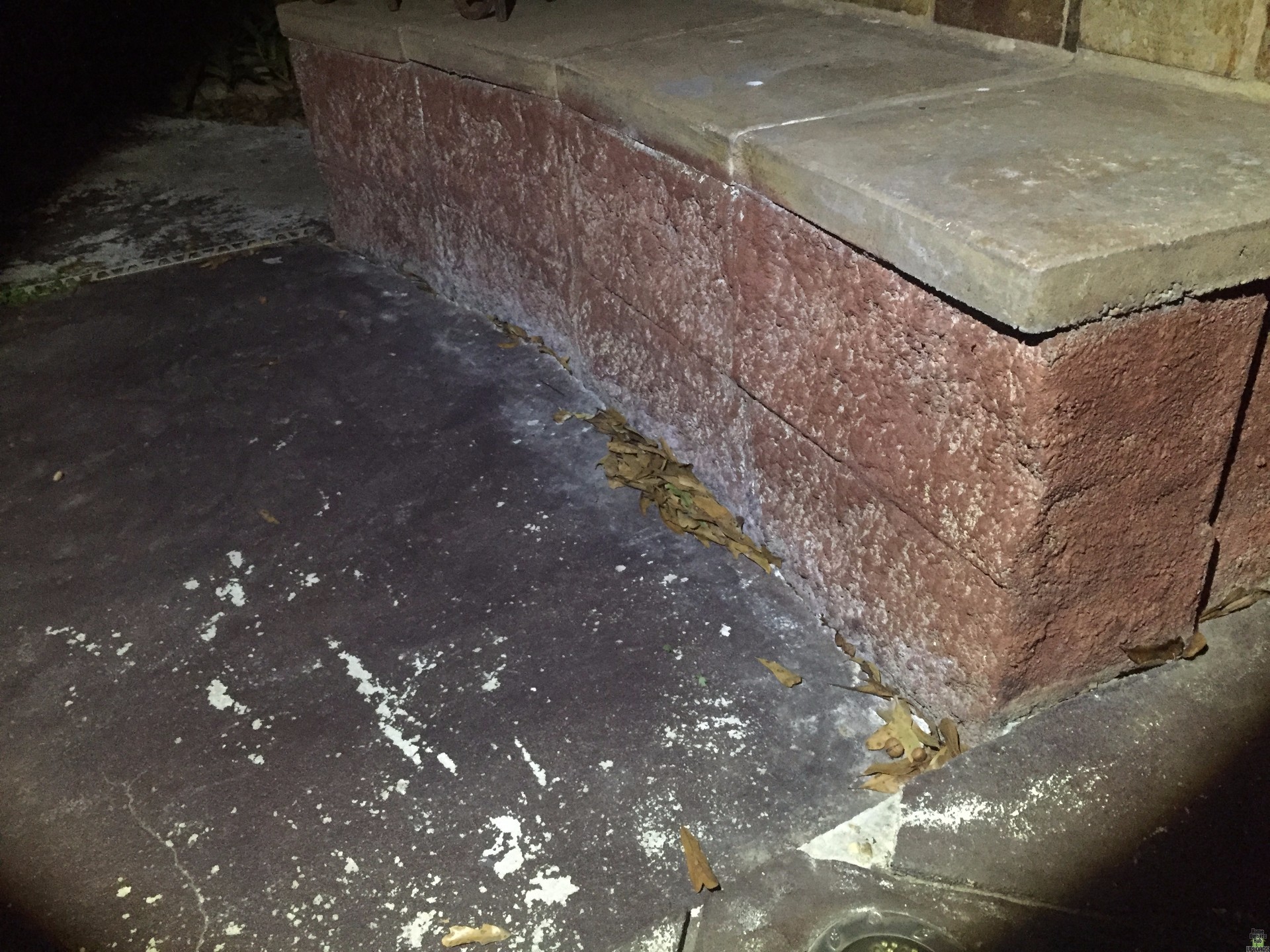Image for Dead animal smell coming from crack in cement