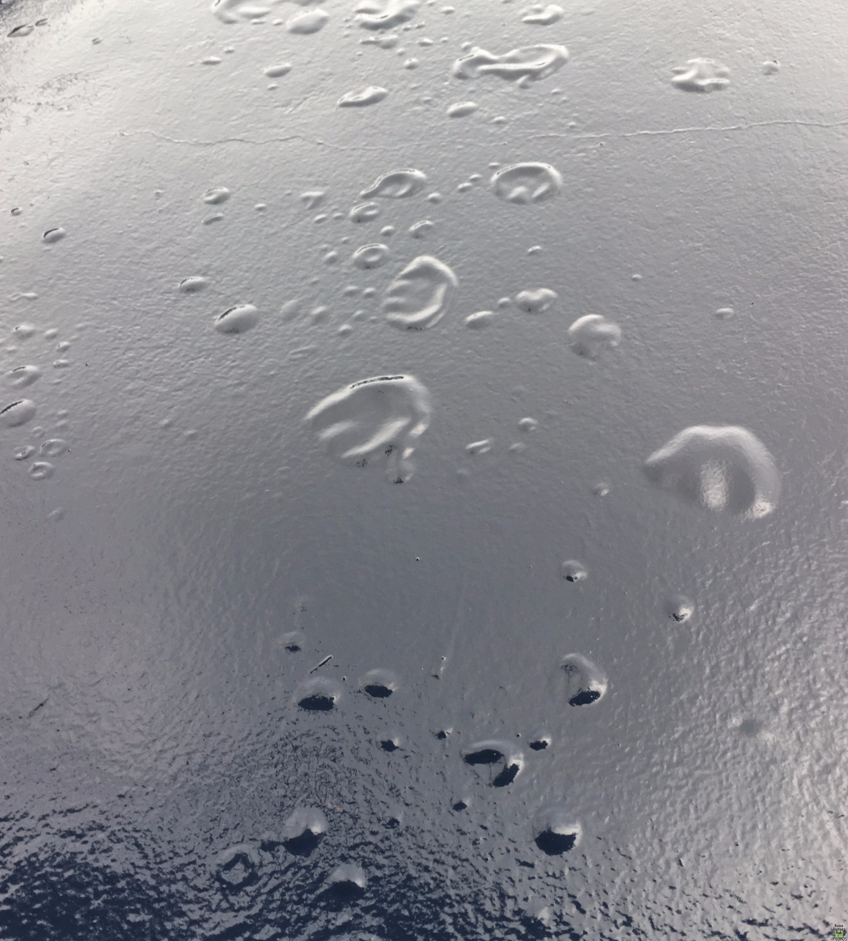 Image for bubble on stucco wall after raining
