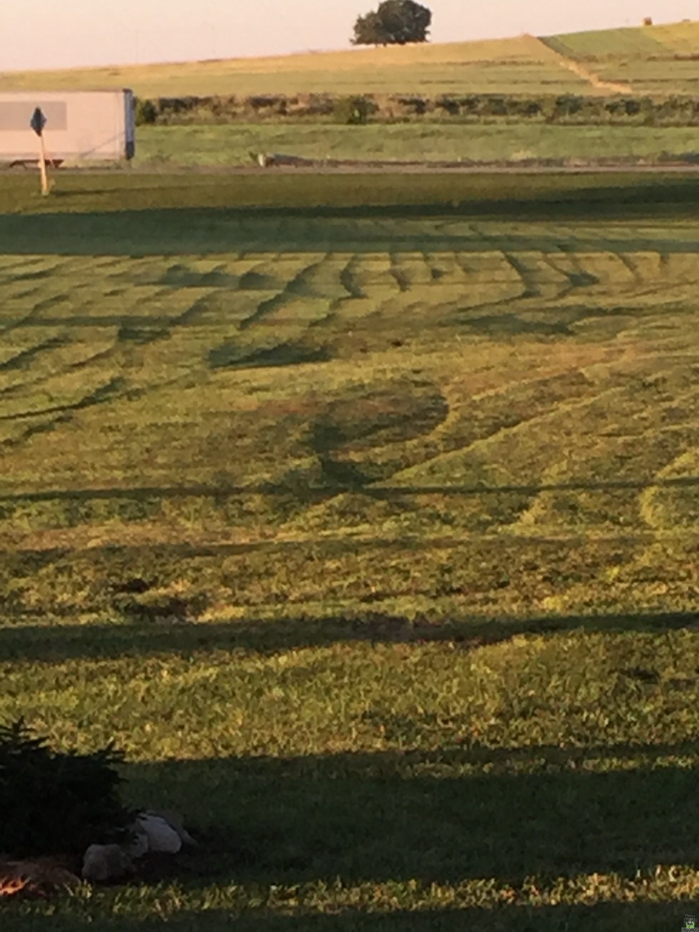 Image for Toro zero turn mower