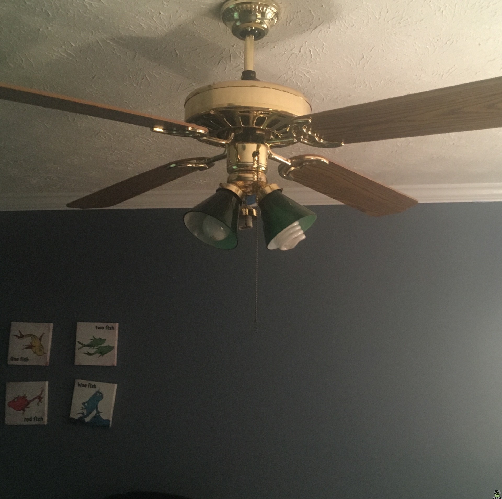 Image for Ceiling Fan Canopy won't come off 