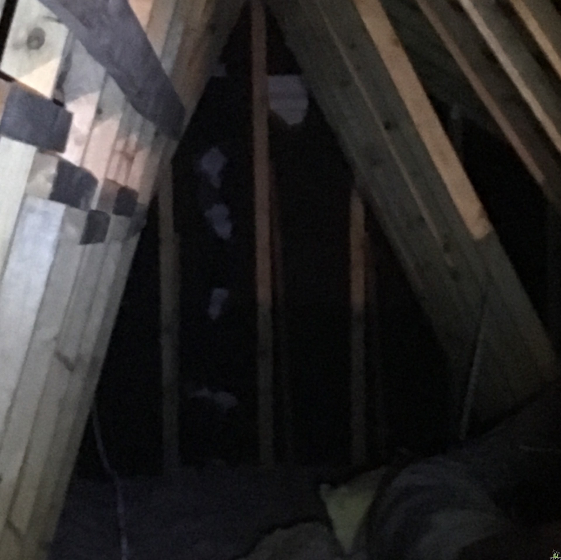 Image for I have damage to the walls in my attic...what is it from??