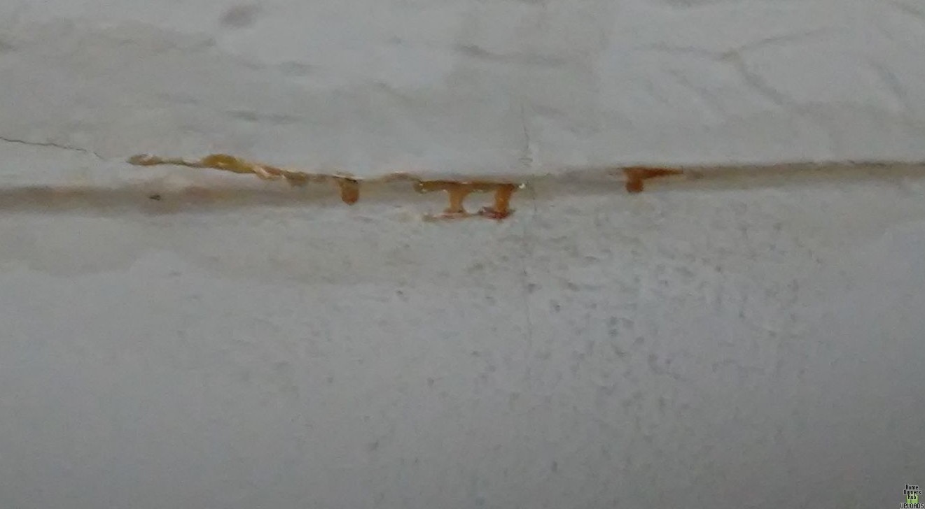 Image for Sudden ooze from ceiling crack