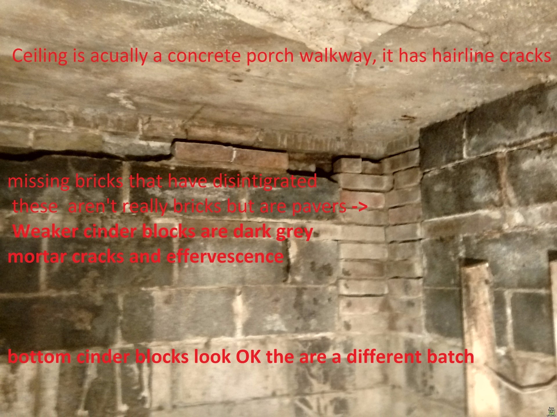 Image for Do you think this basement room can be fixed or needs a total rebuild? This will blow your mind.