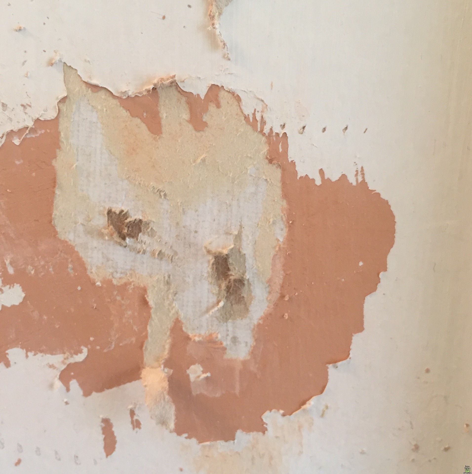 Image for Strange find while remodeling my bathroom. 