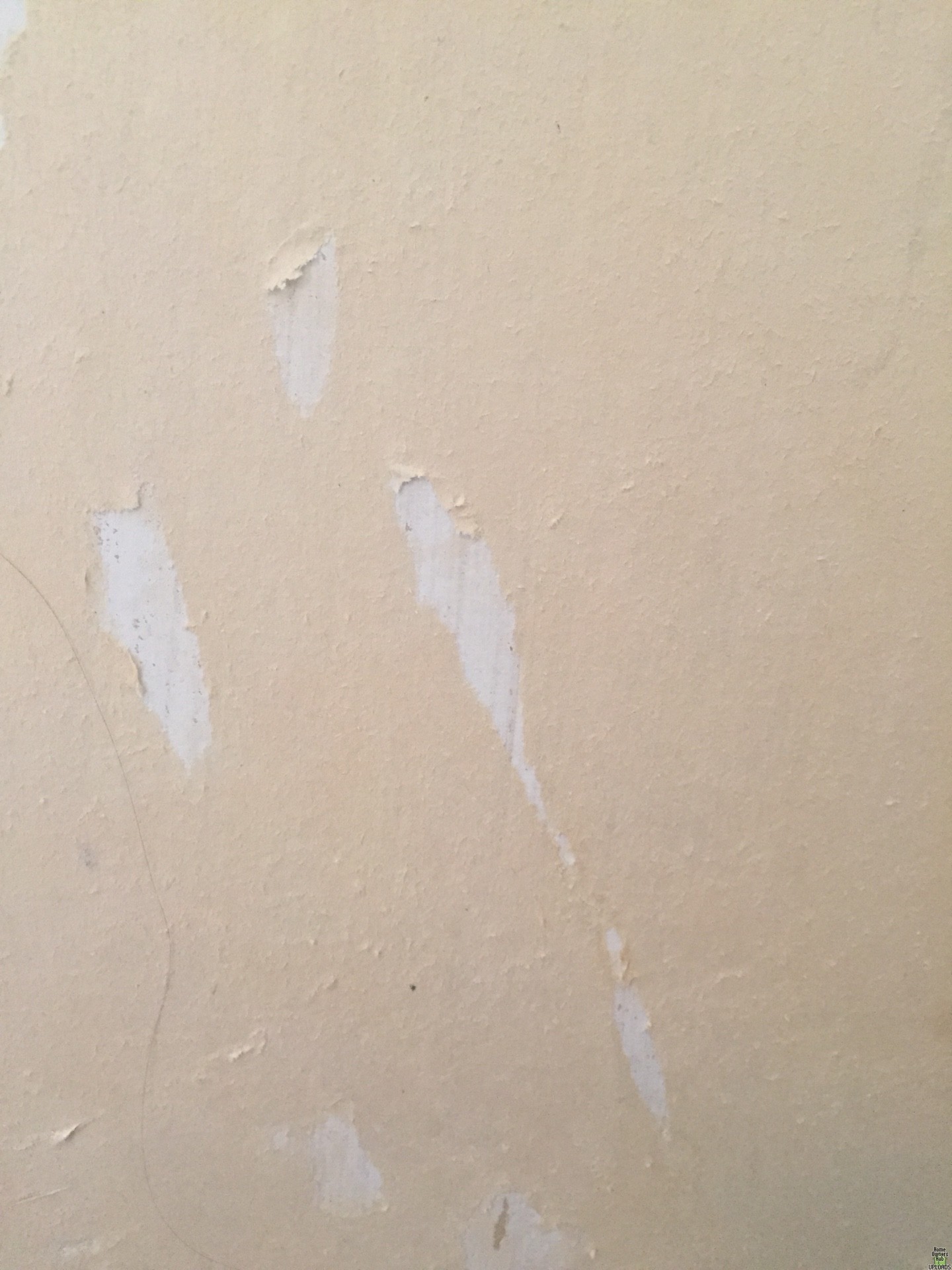 Image for Strange find while remodeling my bathroom. 