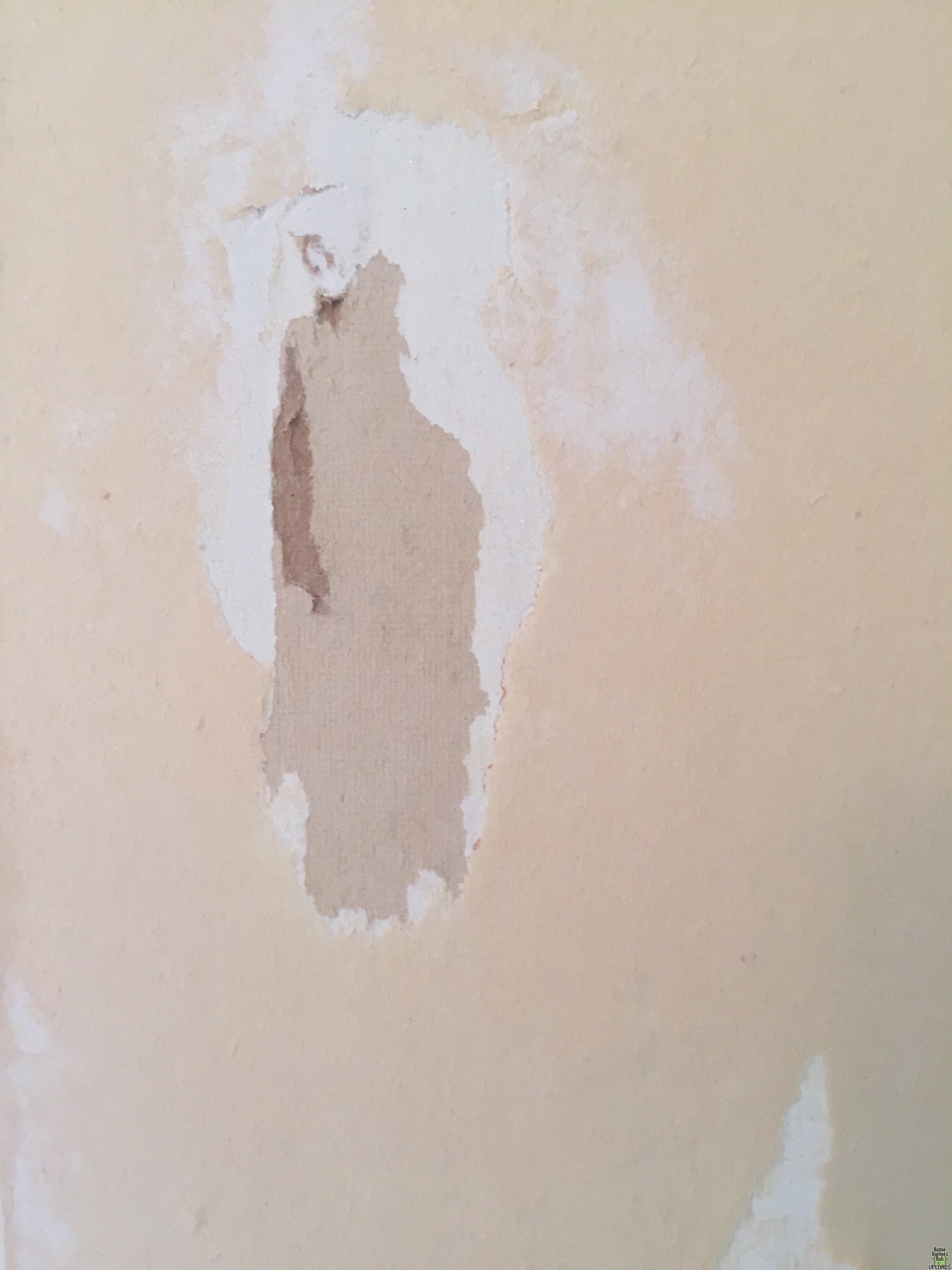 Image for Strange find while remodeling my bathroom. 