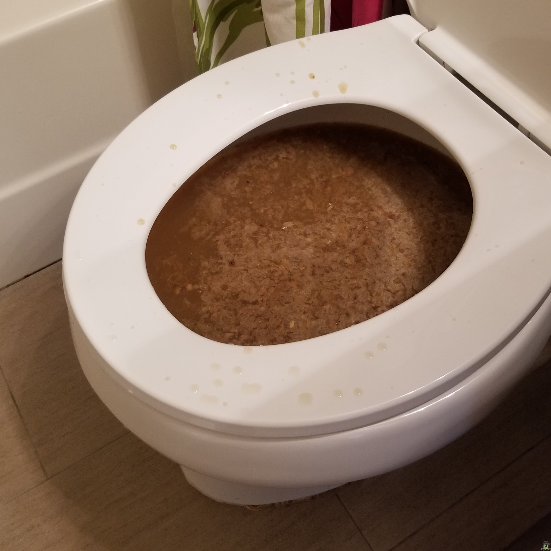 Image for Why don't US bathrooms have floor drains?