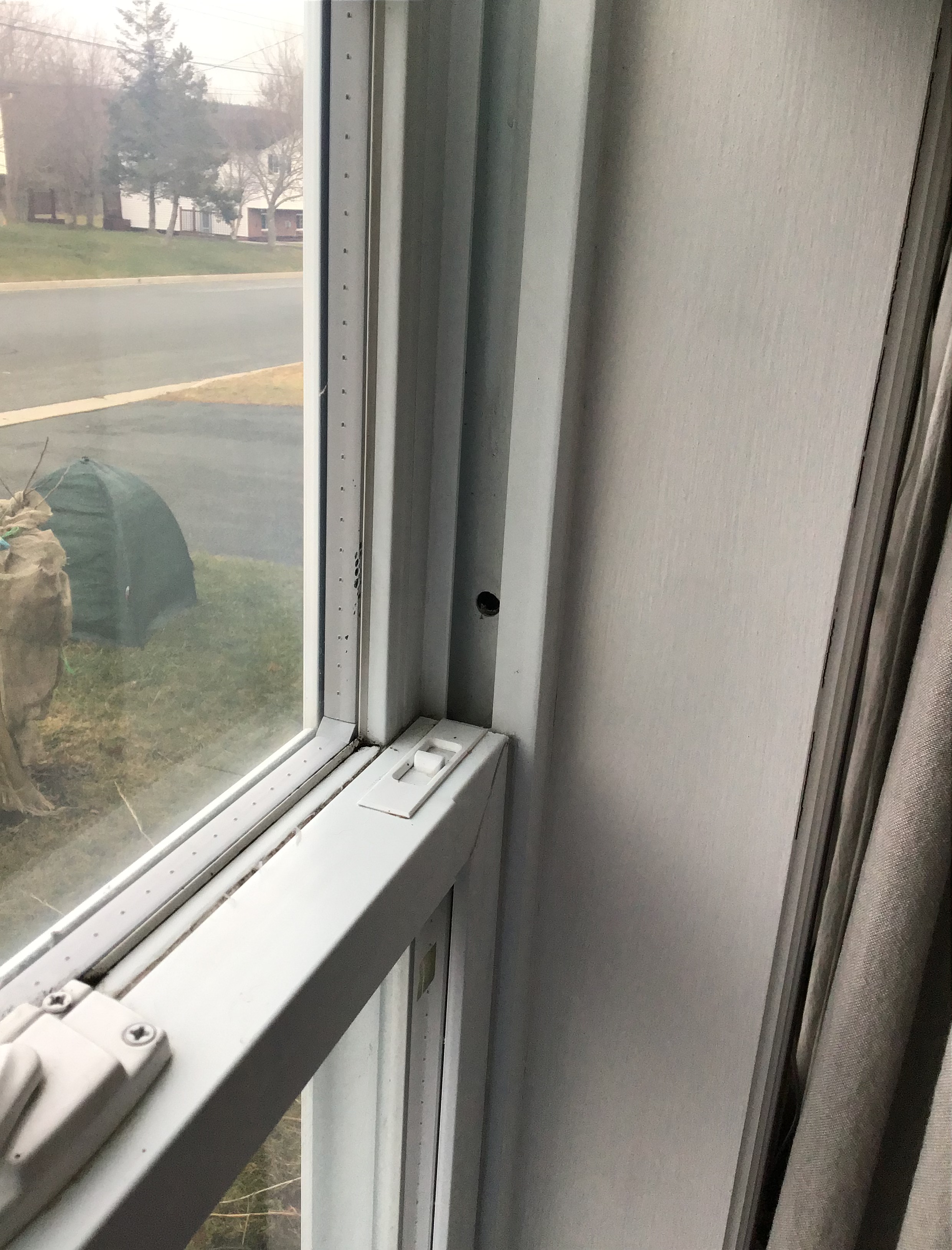 Image for Window draft