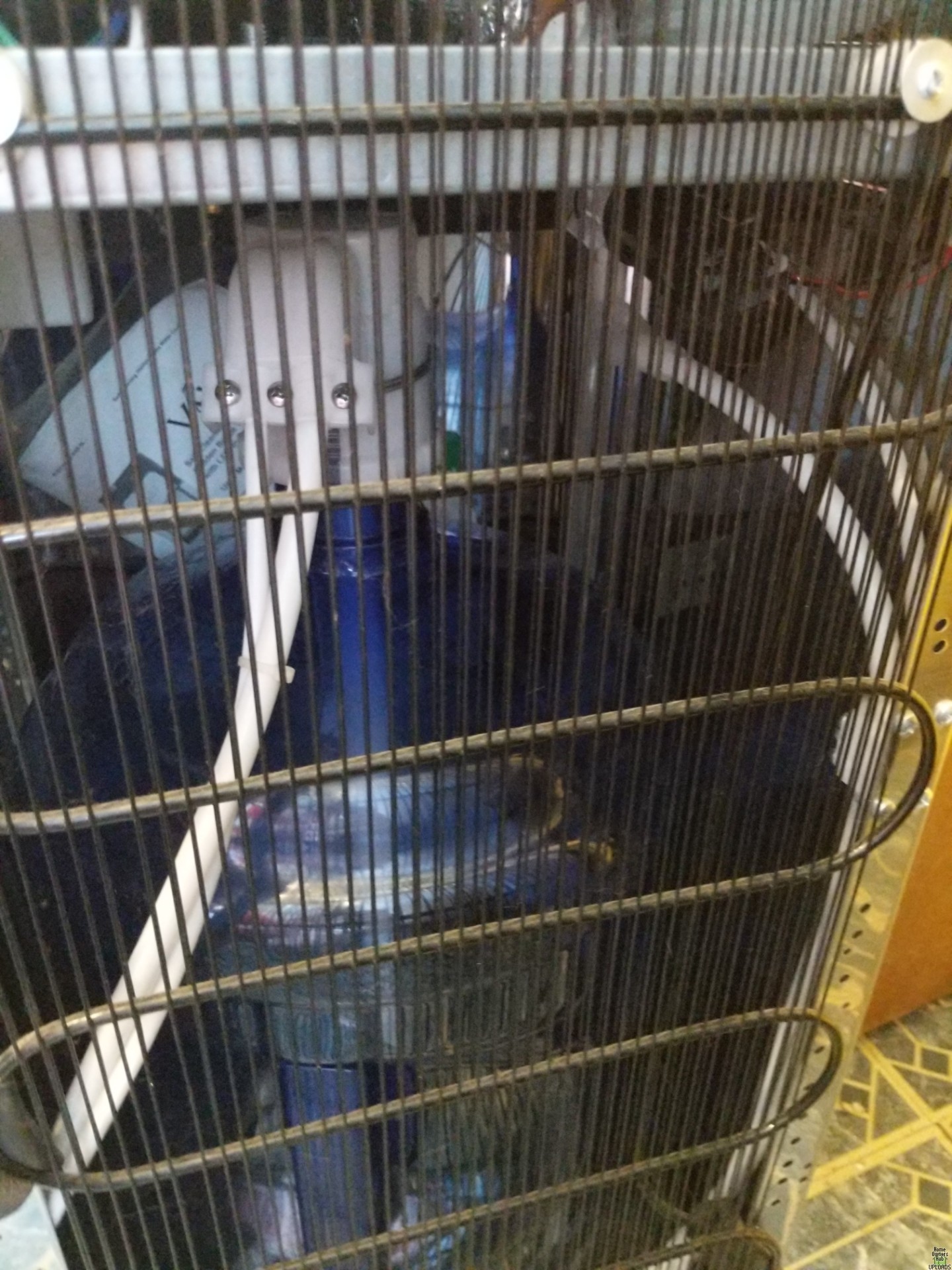 Image for Icemaker connected to water cooler