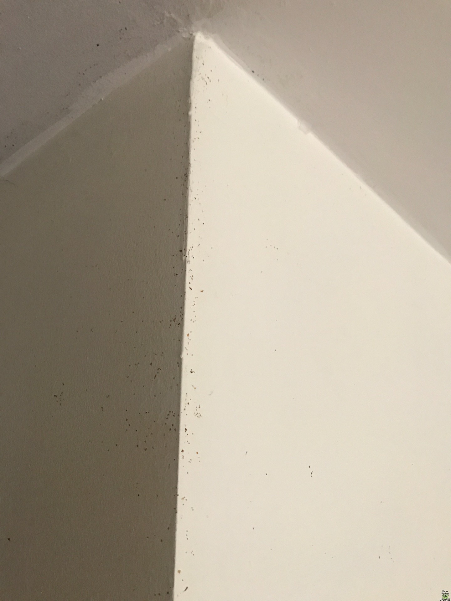 Image for small dark yellow-reddish spots on edges of walls and door frames (2023 Update)