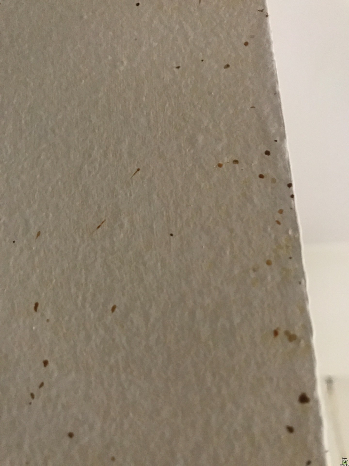 Image for small dark yellow-reddish spots on edges of walls and door frames