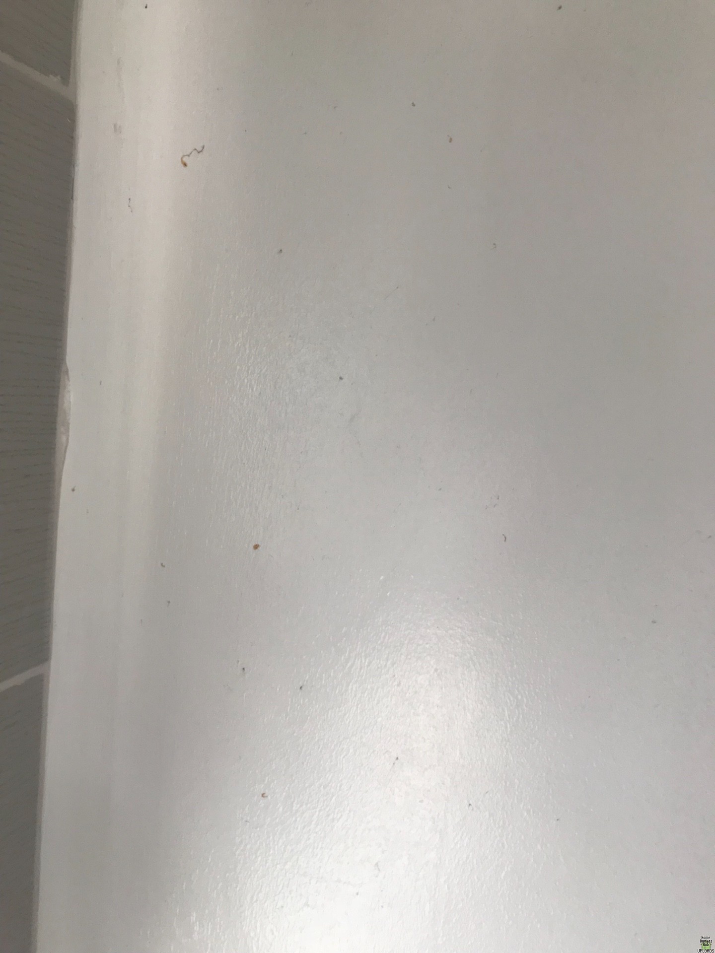 Image for Brown marks appearing on bathroom ceiling and wall
