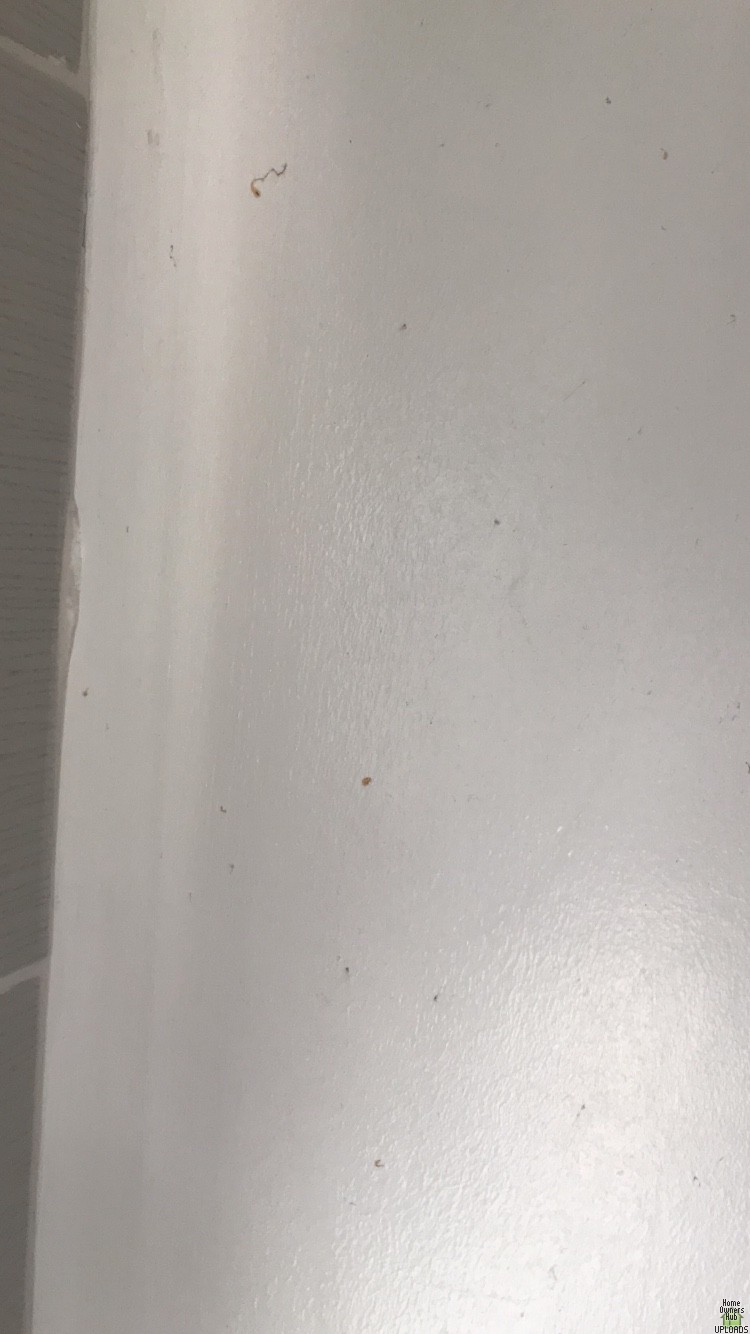 Image for Brown marks appearing on bathroom ceiling and wall