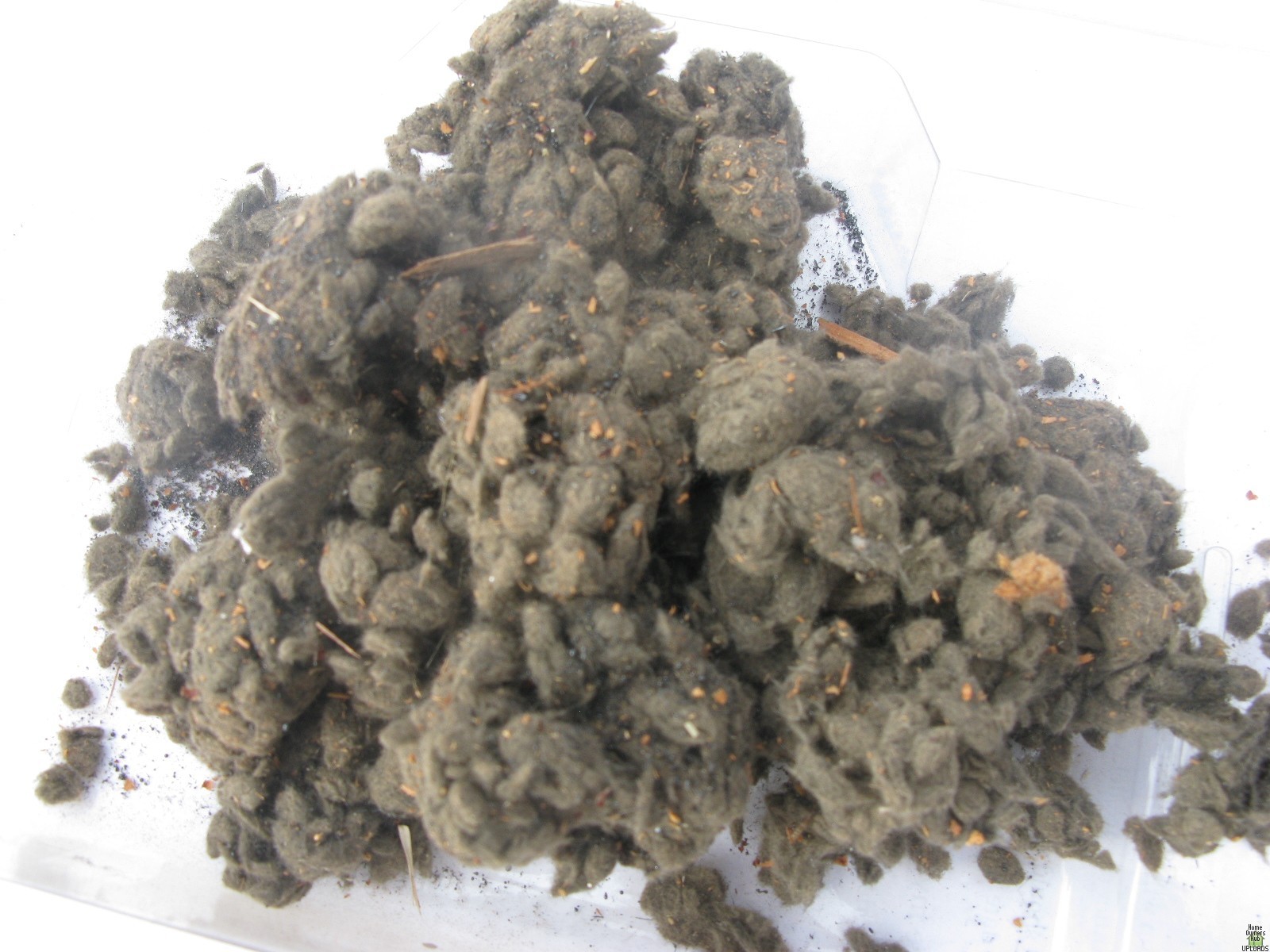 Image for Rock wool or asbestos