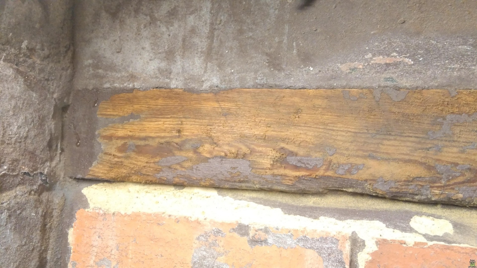 Image for Help me resolve this basement condensation nightmare....