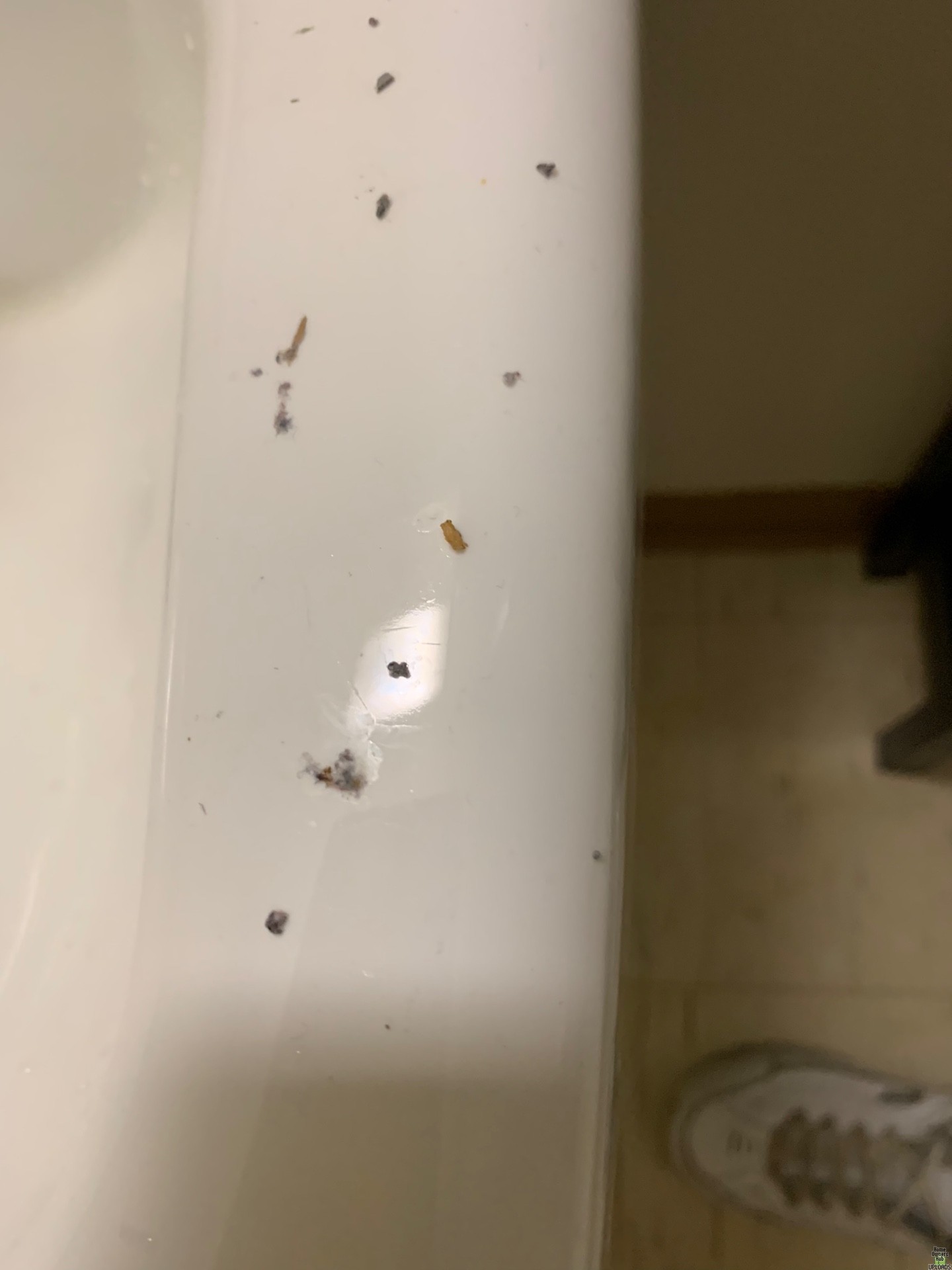 Image for Brown and black stuff all over floors and bites me
