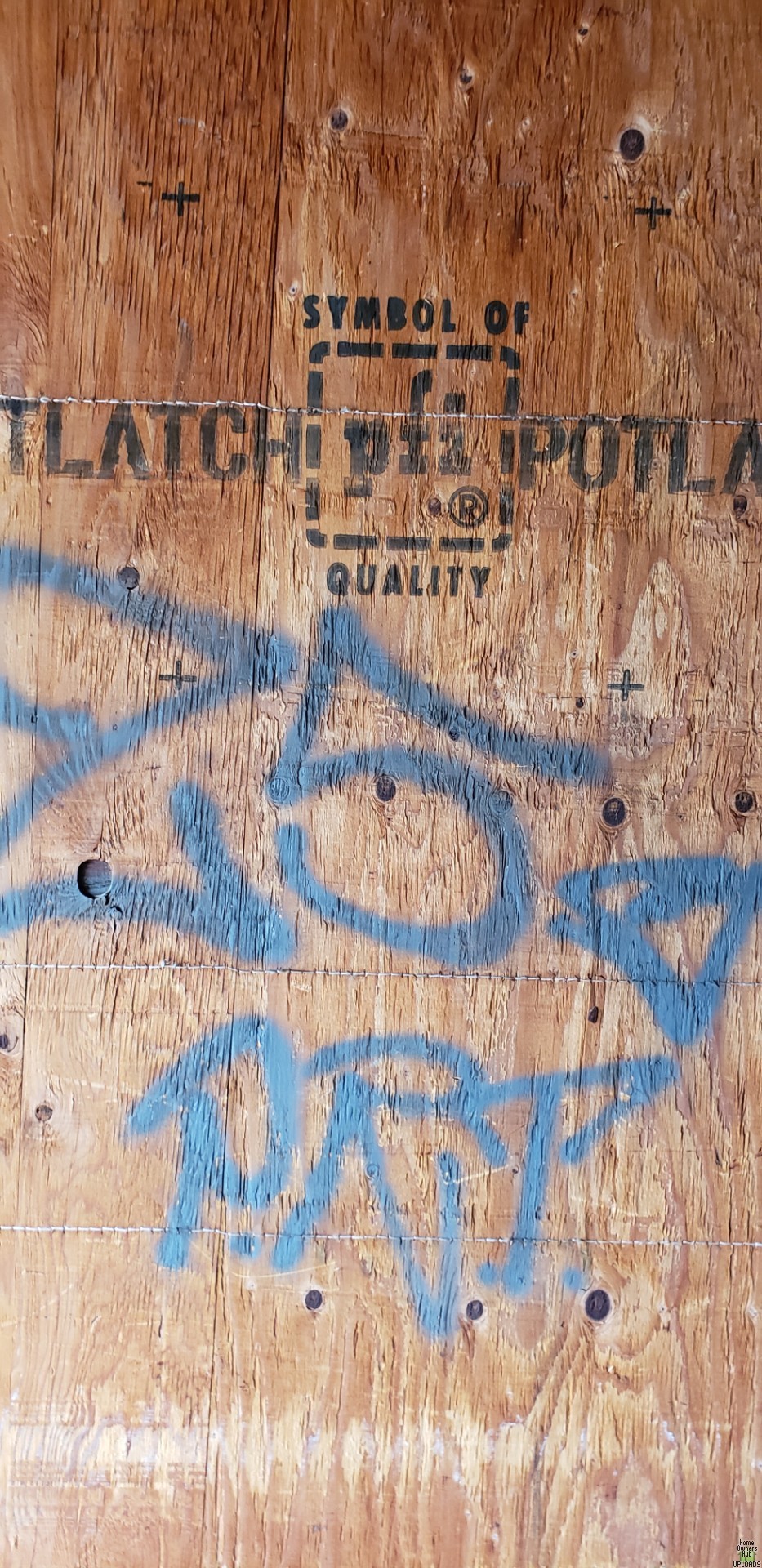 Image for Plywood with Stitching? 