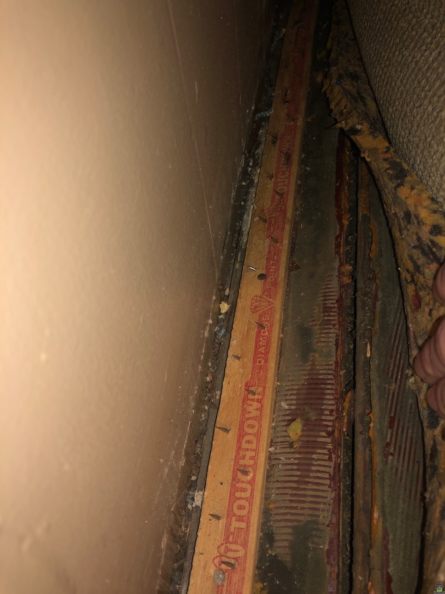 Image for Old floor buckling by vent