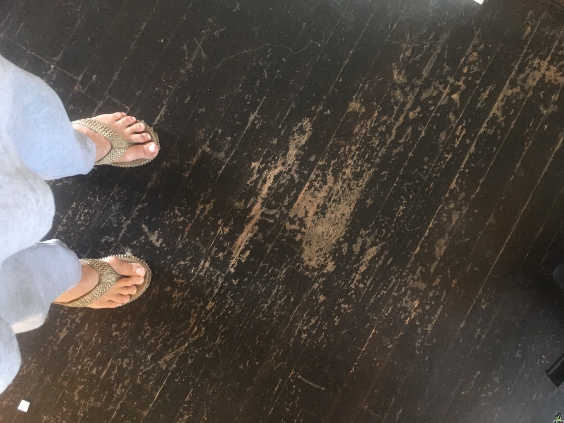 Image for Minwax "Polyshades" -- why not for floors?