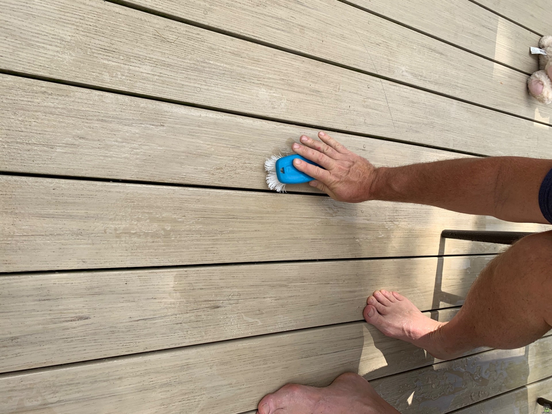 Image for removing wax from deck boards?