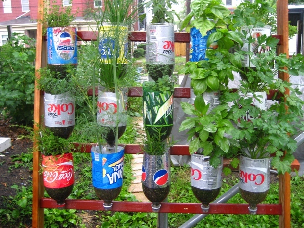 Image for Wall Garden 