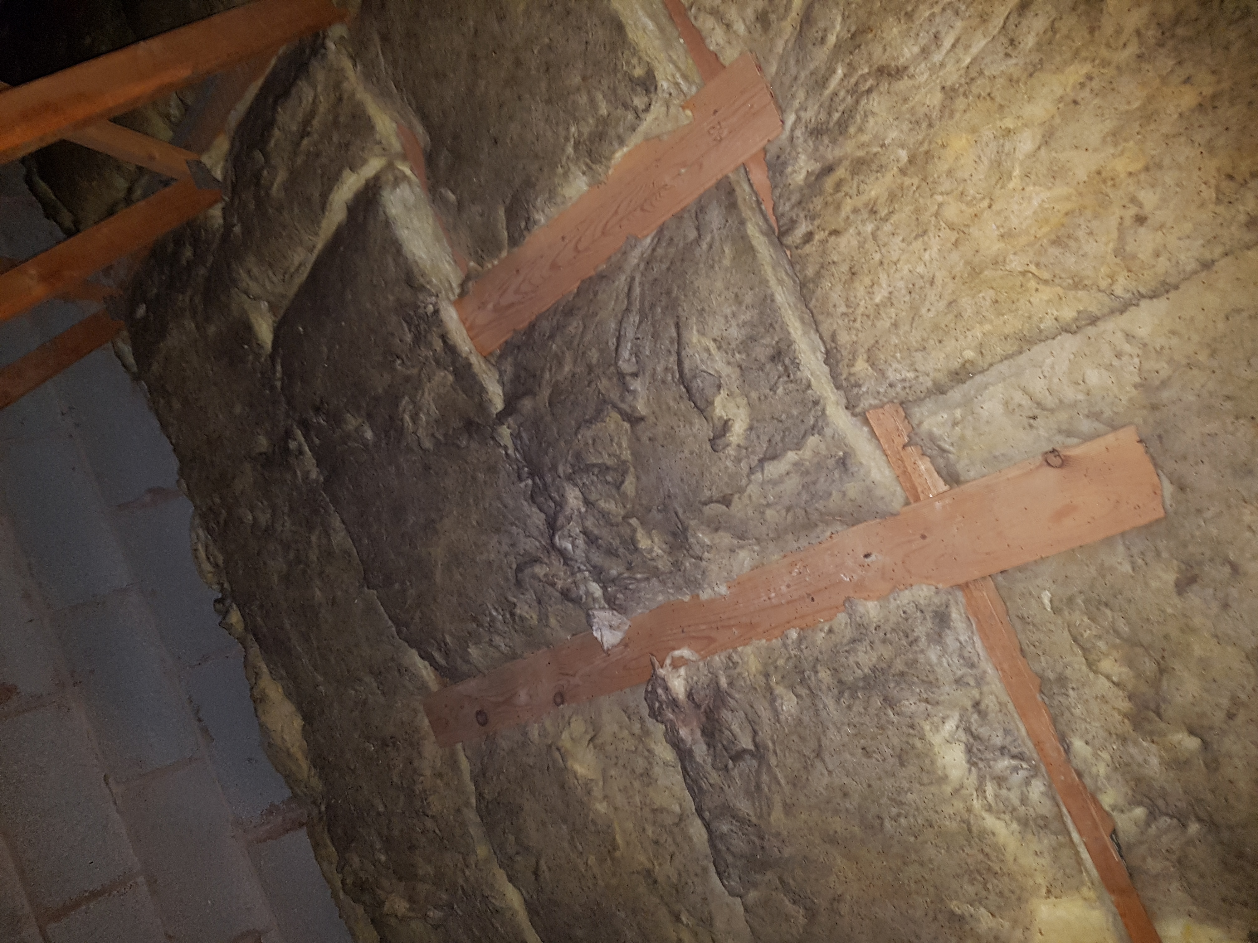 Image for Small Planks in loft